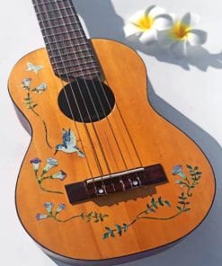 Wooden Guitar paint By Numbers