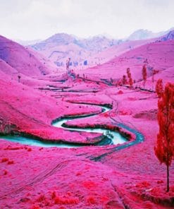 Pink Landscape paint By numbers