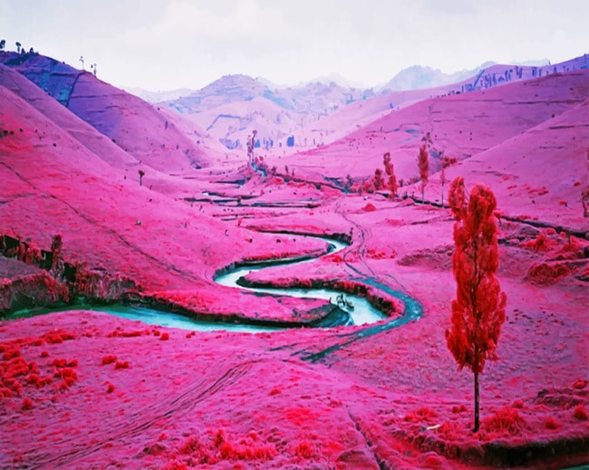 Pink Landscape paint By numbers