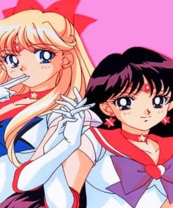 Sailor Moon Characters Paint By Numbers