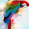 Splash Parrot paint By Numbers