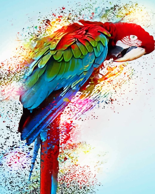 Splash Parrot paint By Numbers