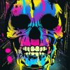 Aesthetic Skull paint By Numbers
