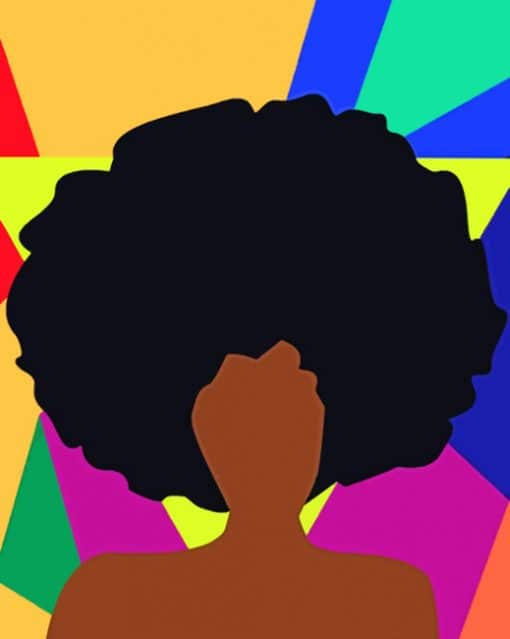 Afro Girl paint By Numbers