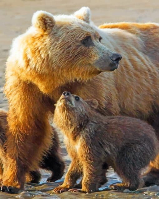 Bear And Cub paint By Numbers
