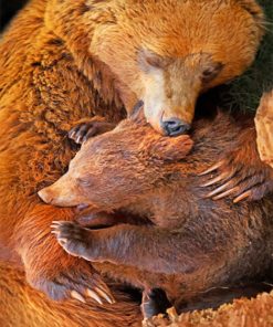 Bear And Her Cub paint By Numbers