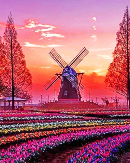 Beautiful Scenery Holland paint By Numbers