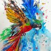 Beautiful Watercolor Parrot paint By Numbers