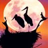Birds In Night Moon paint By Numbers