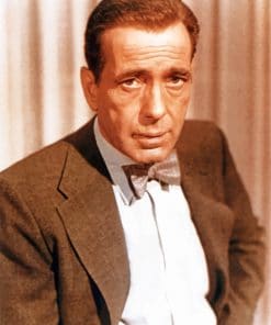 Bogart Humphrey Portrait paint by numbers