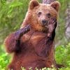 Brown Bear paint By Numbers