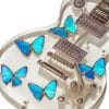 Butterfly Acrylic Guitar paint By Numbers
