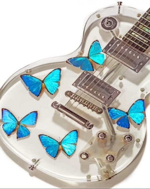 Butterfly Acrylic Guitar paint By Numbers