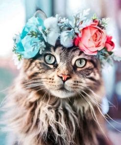 Cat In Flower Crown paint By Numbers