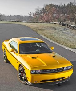 Challenger Yellow Car paint By Nmbers