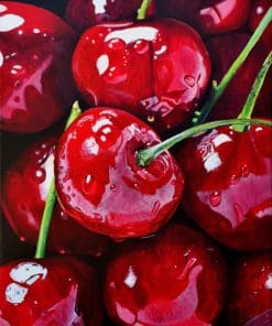 Cherry paint By Numbers
