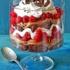 Chocolate Raspberry Trifle paint by Numbers