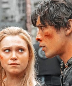 Clarke And Bellamy paint By numbers