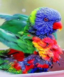Colorful Baby Bird paint By numbers
