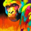 Colorful Monkey paint by Numbers