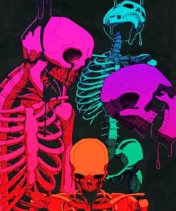 Colorful Skulls paint By Numbers