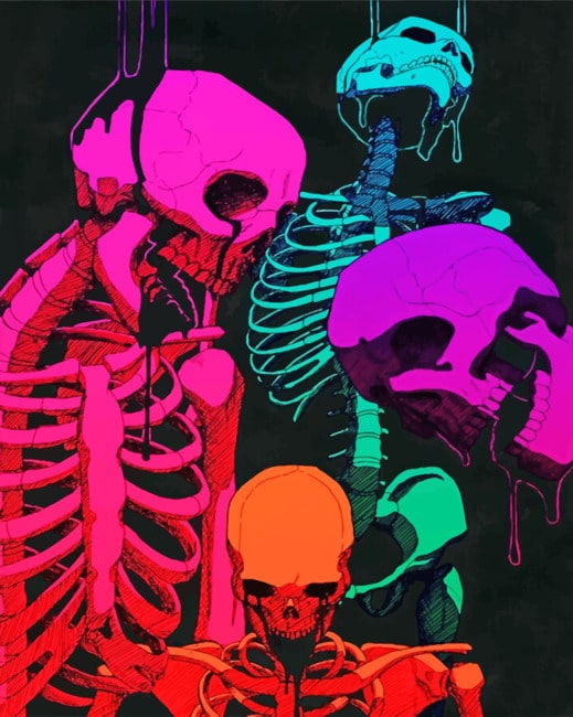 Colorful Skulls paint By Numbers
