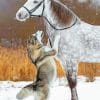 Cute Horse And Dog paint By Numbers