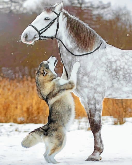 Cute Horse And Dog paint By Numbers