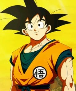 Dragon Ball paint By Numbers