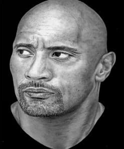Dwayne Johnson paint By Numbers