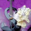 Electric Violin S Shape paint By Numbers