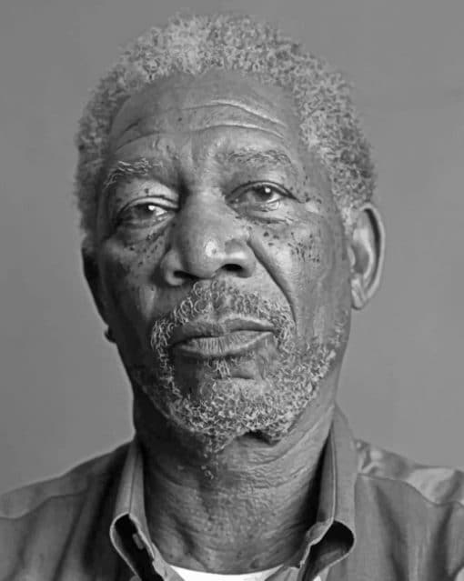 Morgan Freeman paint By Numbers