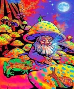 Mushroom Man Poster paint By Numbers