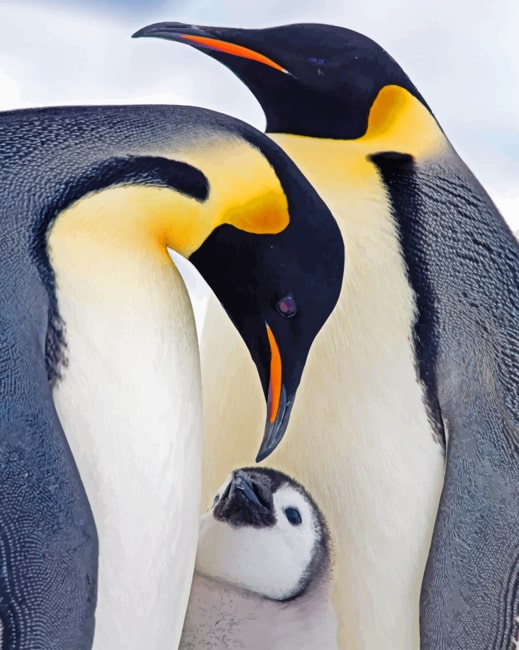 Penguin Family paint By numbers
