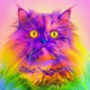 Rainbow Cat paint By Numbers