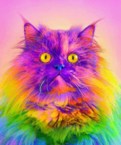 Rainbow Cat paint By Numbers