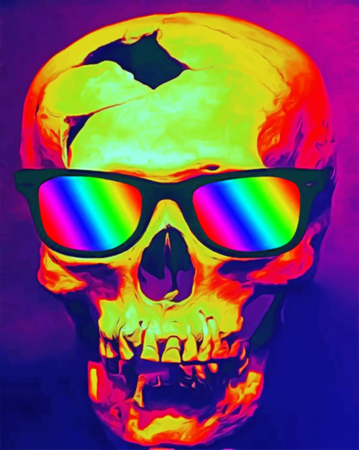 Skull With Sunglasses paint By Numbers