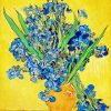 Vincent Van Gogh Irises paint By Numbers