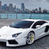 White Lamborghini paint by Numbers