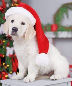 baby-golden-retriever-christmas-Paint-by-bumbers