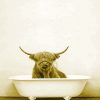 cute highland cow in bathtub