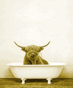 cute highland cow in bathtub