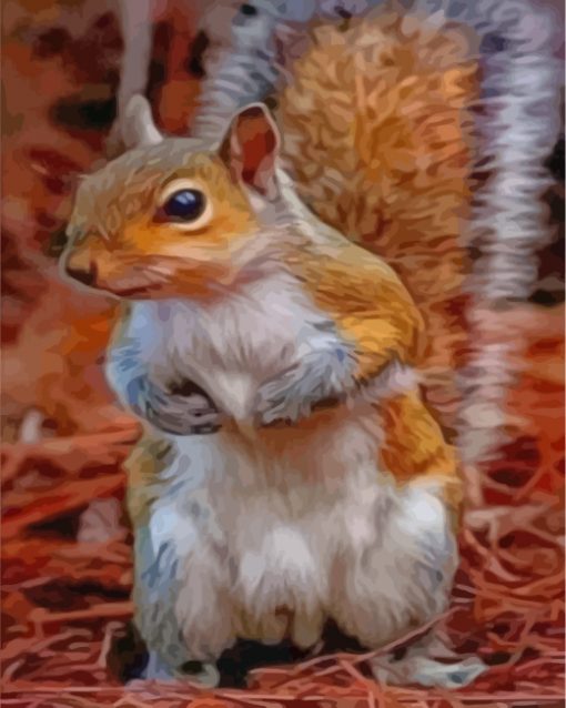 squirrel-paint-by-numbers