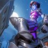Widowmaker paint by numberrs