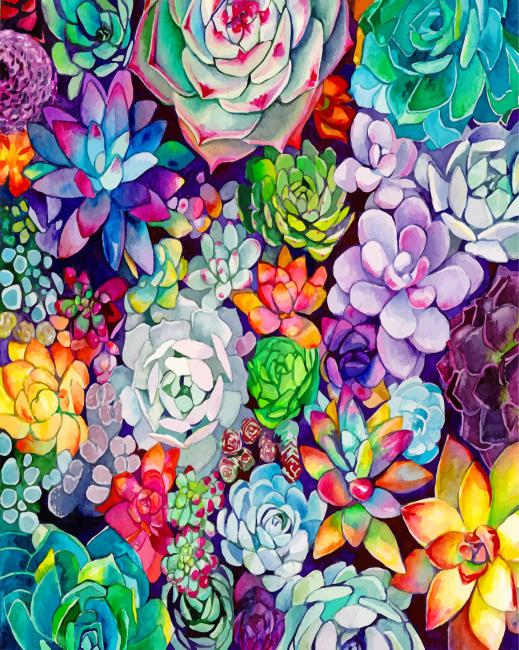succulents-Plants-paint-by-numbers