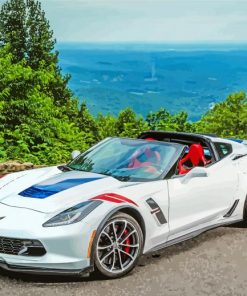 White Corvette Grand Sport paint by numbers