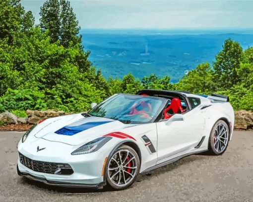 White Corvette Grand Sport paint by numbers