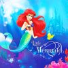 Ariel The Mermaid paint by numbers
