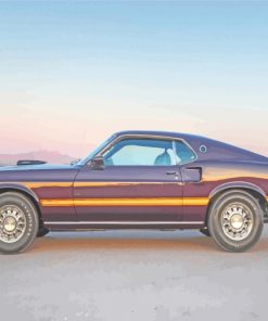 Classic Ford Mustang paint by numbers