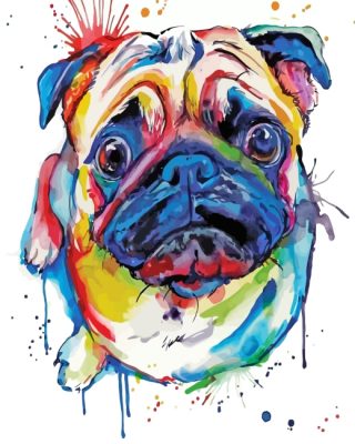 Colorful Splash Pug Dog paint by numbers